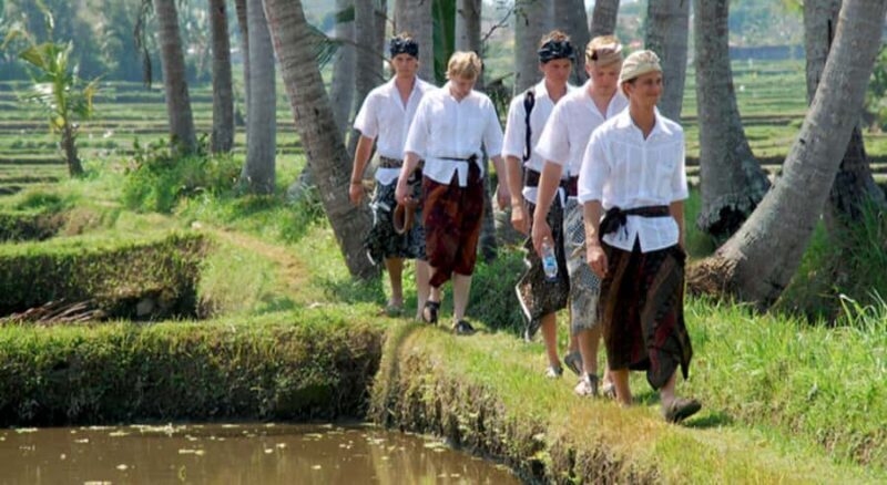 Ubud: Rice Field Trekking Tour with Guide and Drink - The Experience — What Makes It Special