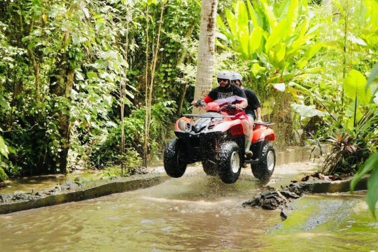 ubud-rice-teraccesgorila-face-atv-rafting
