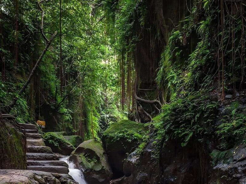 ubud-rice-terrace-monkey-forest-temple-waterfall