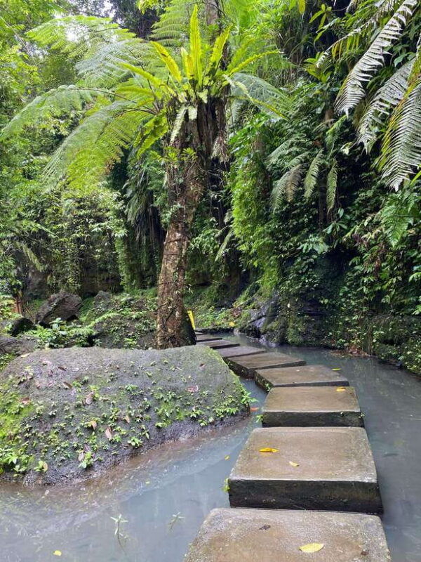 ubud-rice-terrace-monkey-forest-temple-waterfall