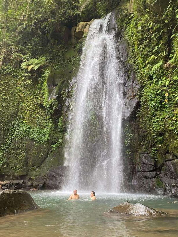ubud-rice-terrace-monkey-forest-temple-waterfall