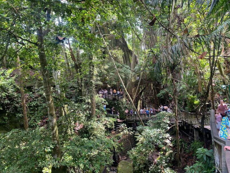 ubud-rice-terrace-monkey-forest-temple-waterfall