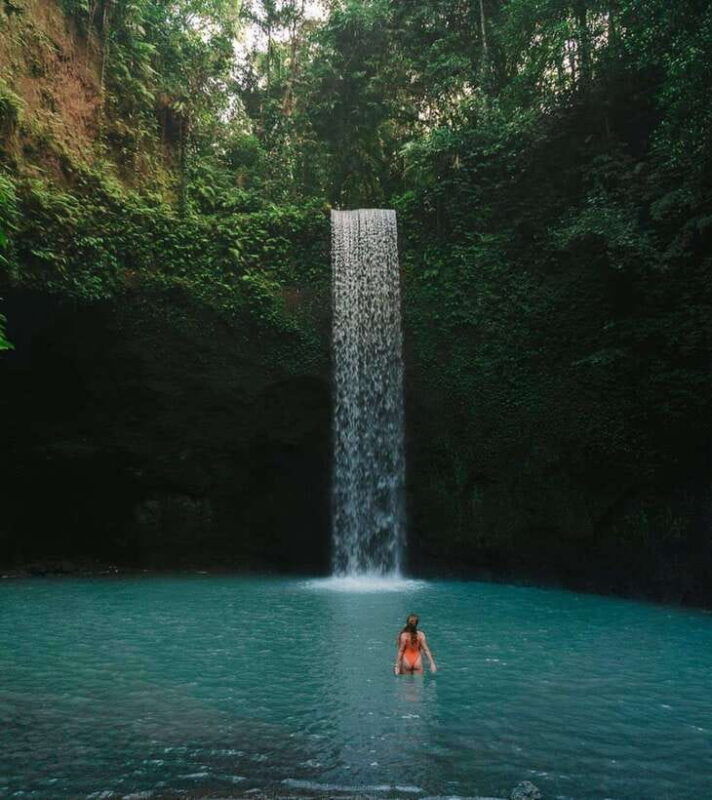 ubud-rice-terrace-monkey-forest-waterfall-private-tour