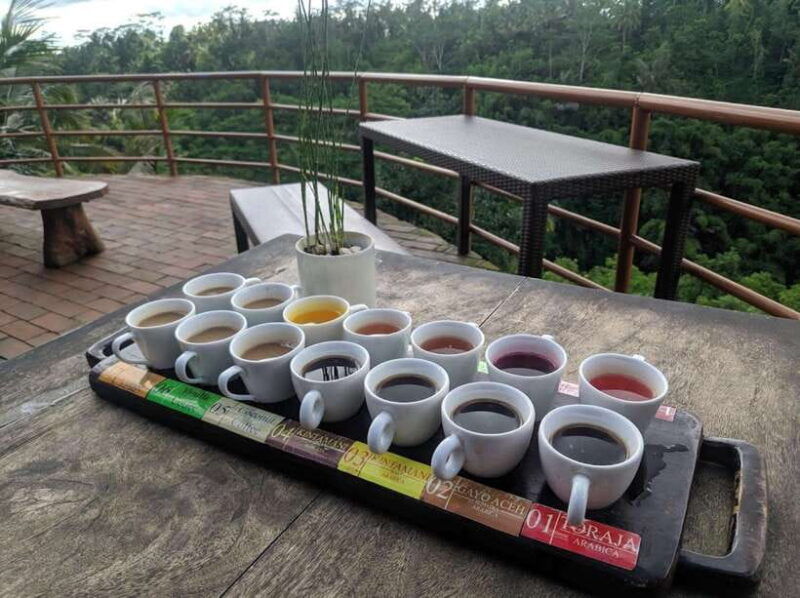 ubud-rice-terrace-monkey-forest-waterfall-private-tour