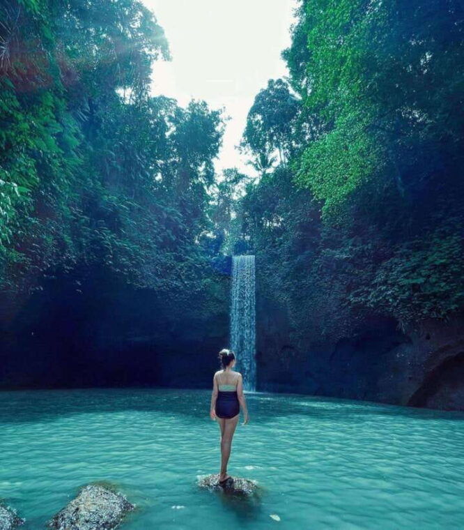 ubud-rice-terrace-monkey-forest-waterfall-private-tour