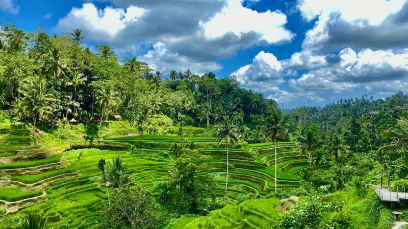 ubud-rice-terrace-waterfall-and-temple-guided-trip-bali