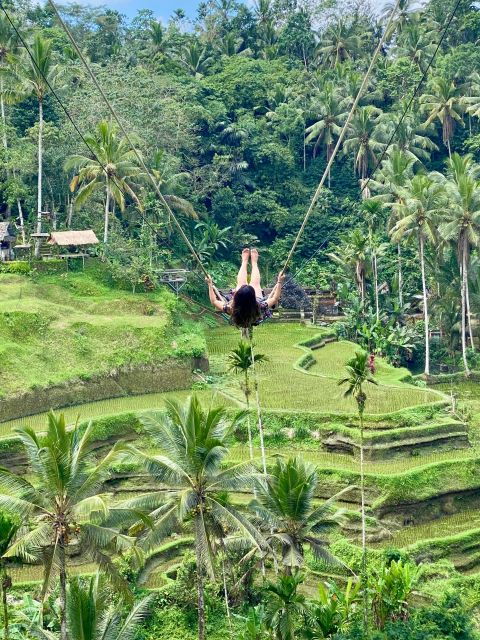 ubud-rice-terrace-waterfall-and-temple-guided-trip-bali