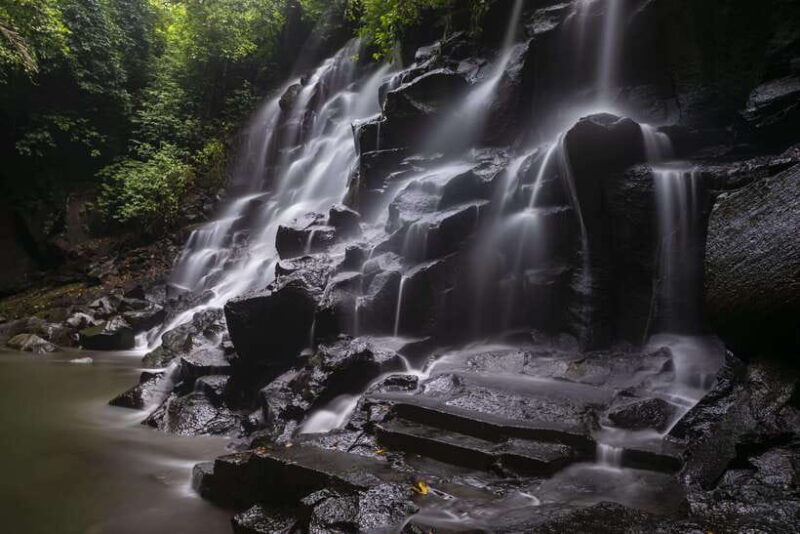 ubud-rice-terrace-waterfalls-holy-water-and-swing-tour