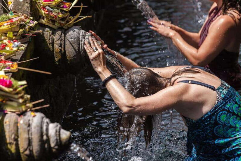 ubud-rice-terrace-waterfalls-holy-water-and-swing-tour