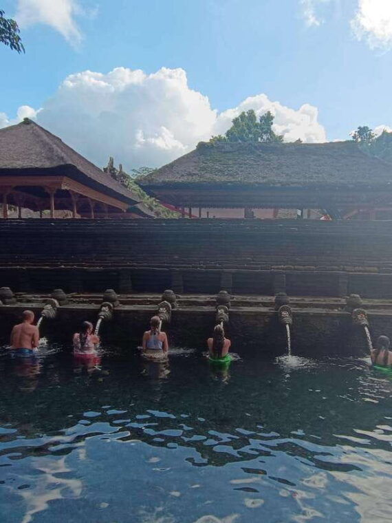 ubud-rice-terrace-waterfalls-holy-water-and-swing-tour