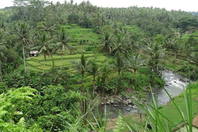 Ubud Rice Terraces eBike Private Tour - An In-Depth Look at the Ubud Rice Terraces eBike Tour