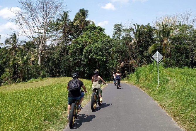 Ubud Rice Terraces eBike Private Tour - Who Would Love This Experience