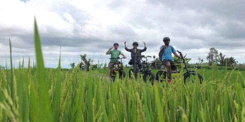 ubud-rice-terraces-villages-half-day-fat-tire-e-bike-tour