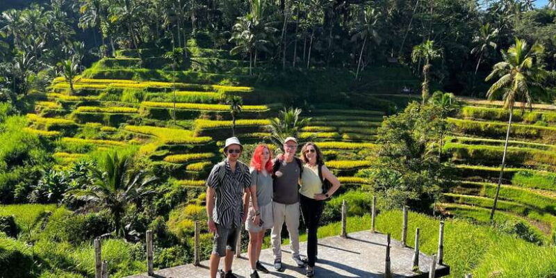 ubud-rice-terraces-water-temple-waterfalls-private-tour