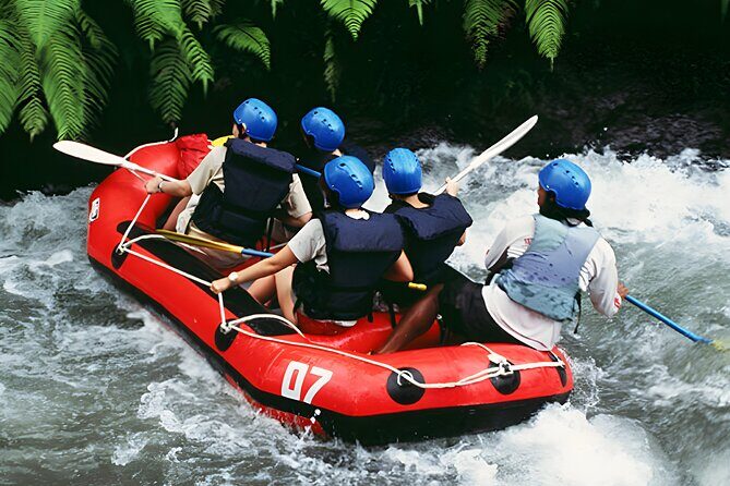 Ubud River Rafting: 2 Hours Ayung White Water Rafting Adventures - Who Is This Tour Best For?