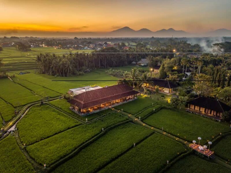 Ubud: Romantic Dinner among the Rice Fields - Final Thoughts