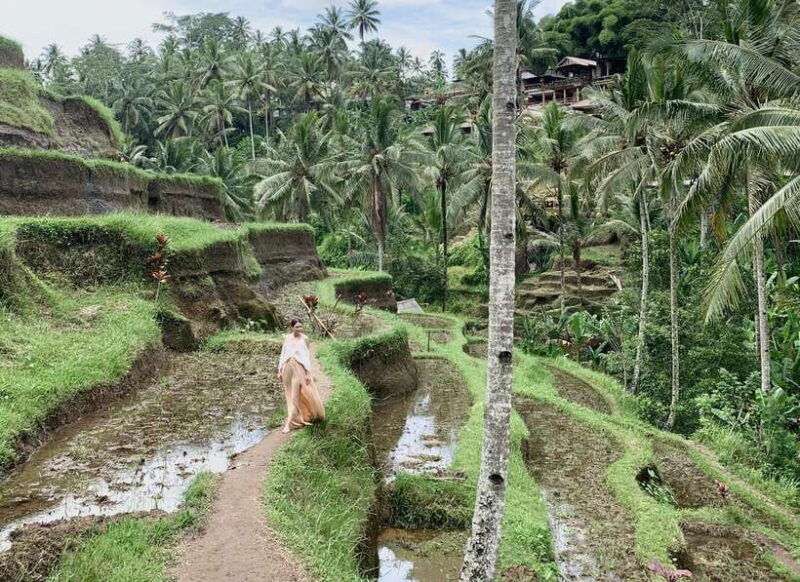 ubud-semi-customized-private-tour-with-live-guide