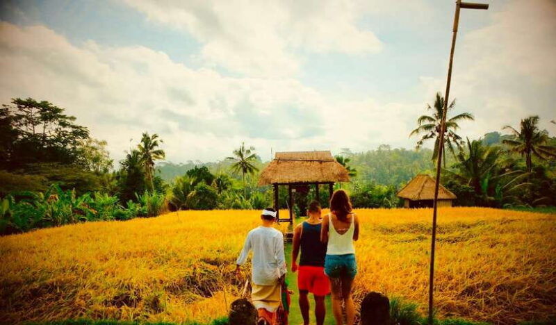 ubud-semi-customized-private-tour-with-live-guide