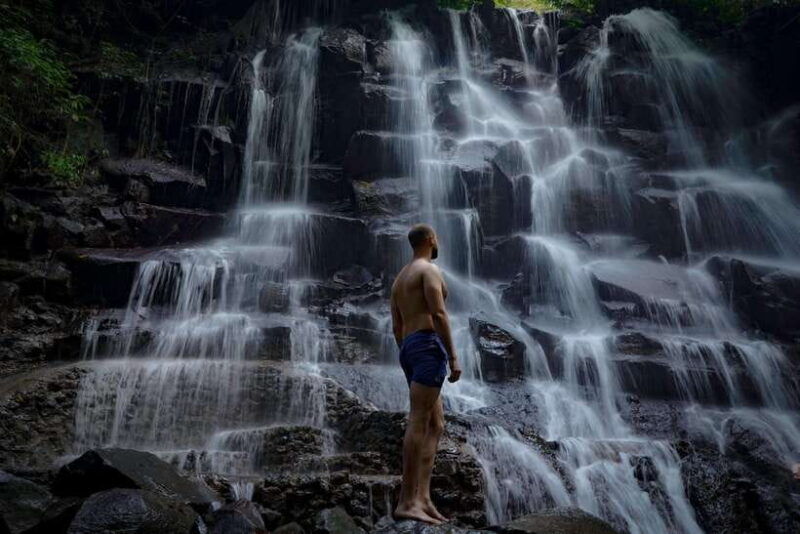 ubud-semi-customized-private-tour-with-live-guide