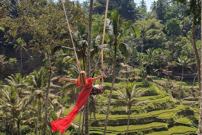 Ubud Shared Tour: Ubud Waterfalls, Tegalalang & Holy Water Temple - Pricing & Value for Money