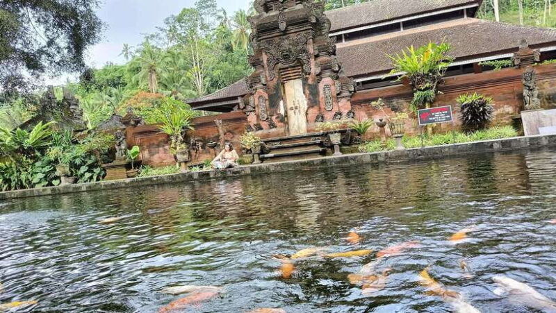 ubud-sharing-tour-to-rice-terrace-tirta-empul-waterfalls