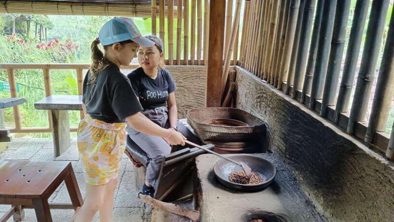 ubud-sharing-tour-to-rice-terrace-tirta-empul-waterfalls