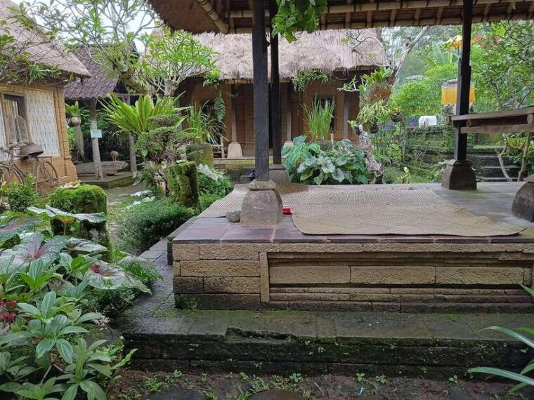 ubud-sharing-tour-to-rice-terrace-tirta-empul-waterfalls