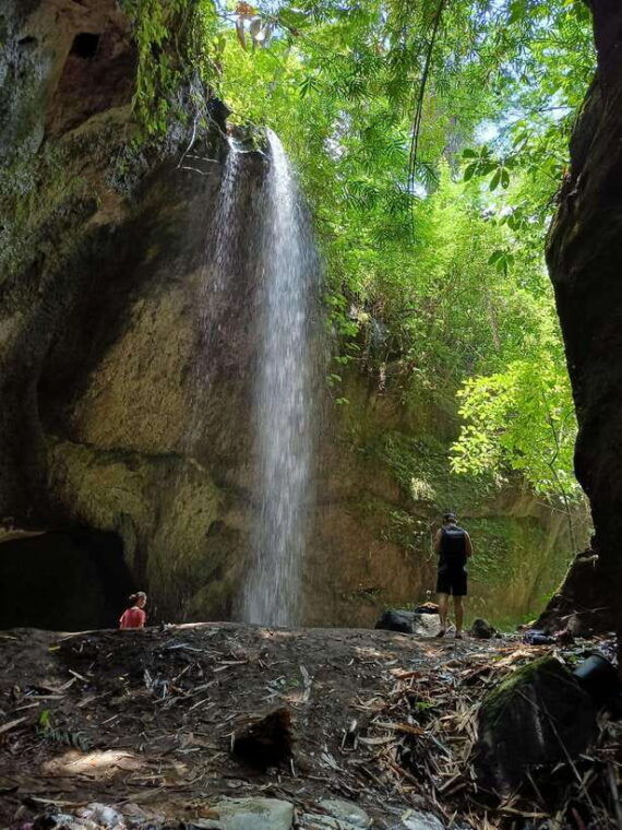 ubud-sharing-tour-to-rice-terrace-tirta-empul-waterfalls