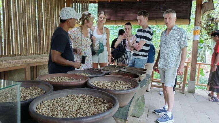 ubud-sharing-tour-to-rice-terrace-tirta-empul-waterfalls