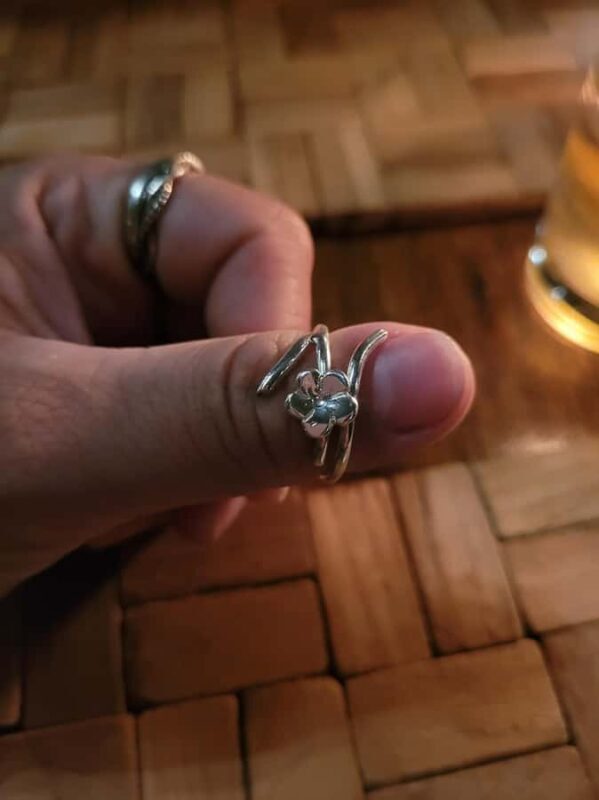 Ubud: Silver Making Class and Fireflies Evening Tour - Practical Details and Considerations