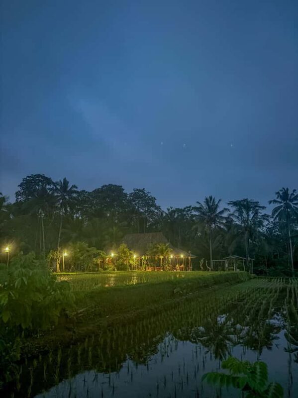 Ubud: Silver Making Class and Fireflies Evening Tour - Final Thoughts