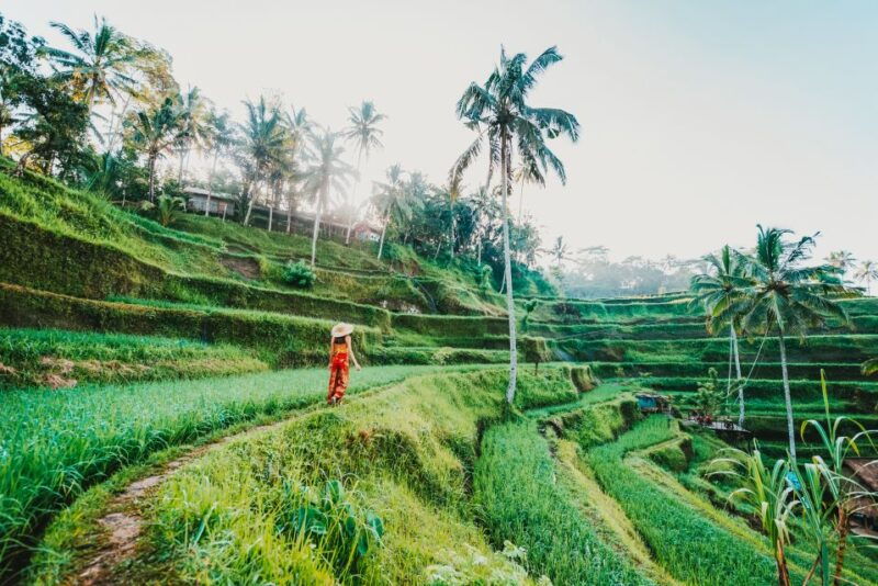 ubud-spectacular-waterfalls-tour