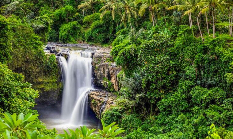 ubud-spectacular-waterfalls-tour