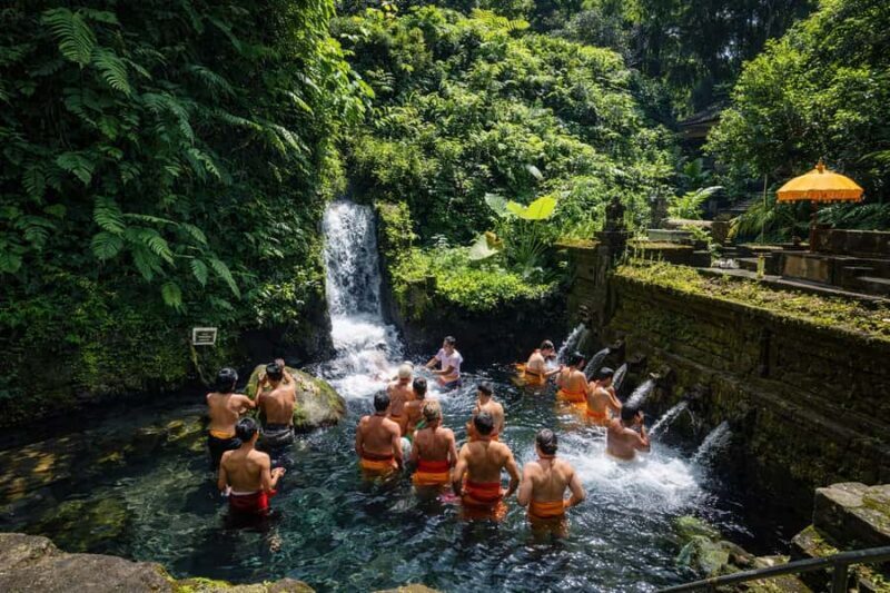 Ubud Spiritual: Purification, Palm Reading & Hot Springs - Who Is This Tour Best For?