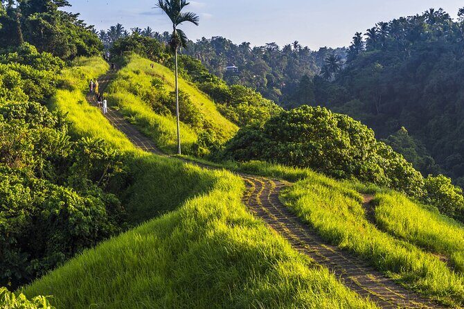 Ubud Story Walking Tour by Spanish, Japanese, English Guide - Introduction