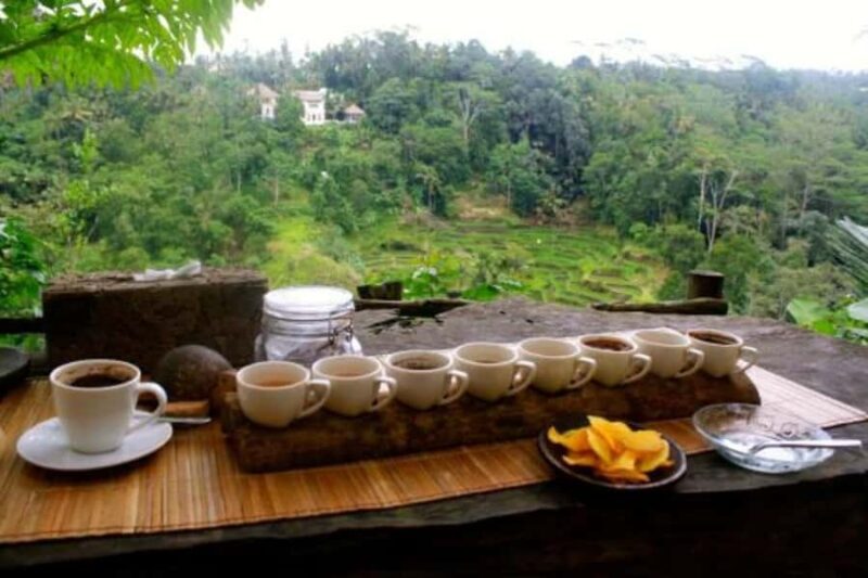 Ubud; Sunrise Cafe, Waterfall & Rice Terrace Private Tour - The Sum Up