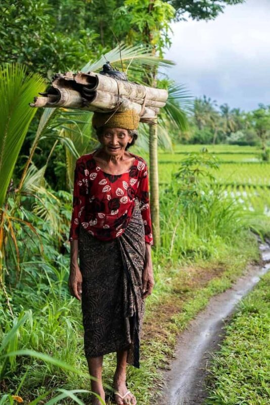 Ubud: Sunrise Rice Terrace Trek, Water Temple & Offering - Key Points