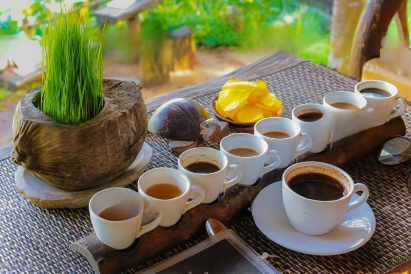 ubud-swing-coffee-plantation-rice-terrace-and-waterfall