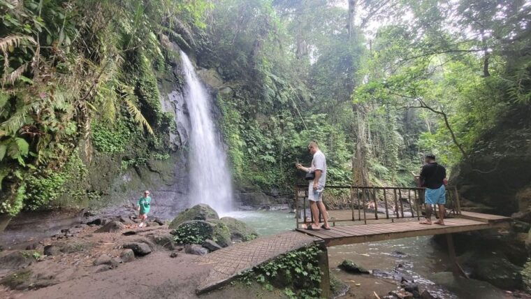 ubud-swing-coffee-plantation-rice-terrace-and-waterfall
