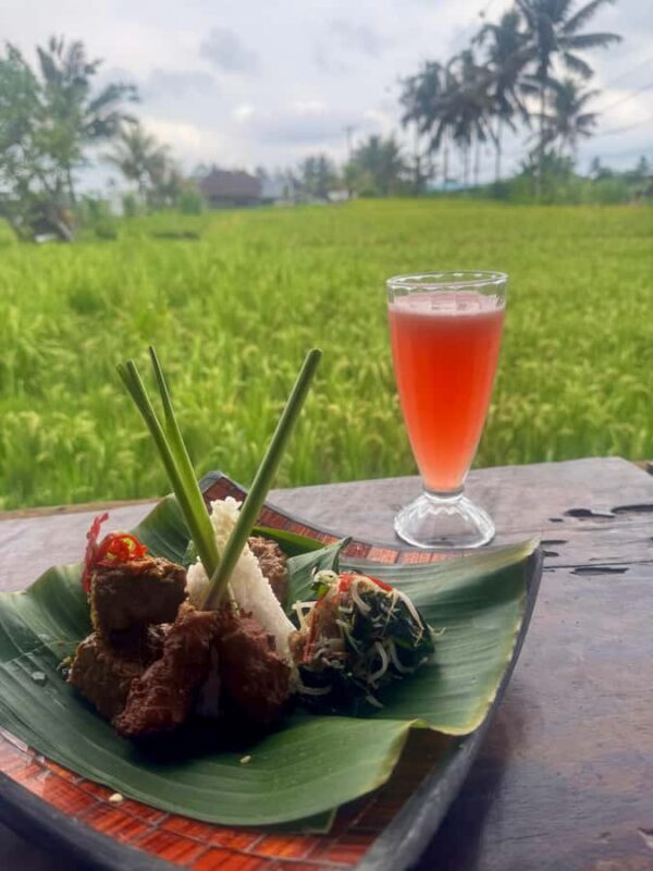 Ubud: Taro Village Firefly Excursion with a Vegetarian Meal - Who Is This Tour Best For?