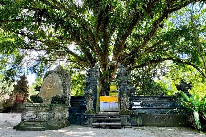 Ubud Tegalalang Private Car Tour - Why This Tour Is a Smart Choice