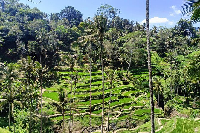 Ubud Tegalalang Private Car Tour - The Sum Up: Who Is This Tour Best For?
