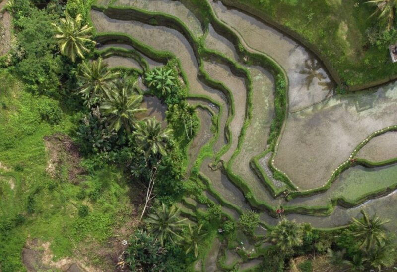 ubud-tegalalang-rice-terrace-photos-tour-with-swing-ticket