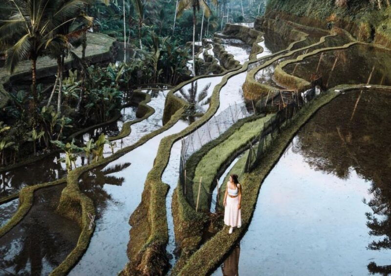 ubud-tegalalang-rice-terrace-photos-tour-with-swing-ticket