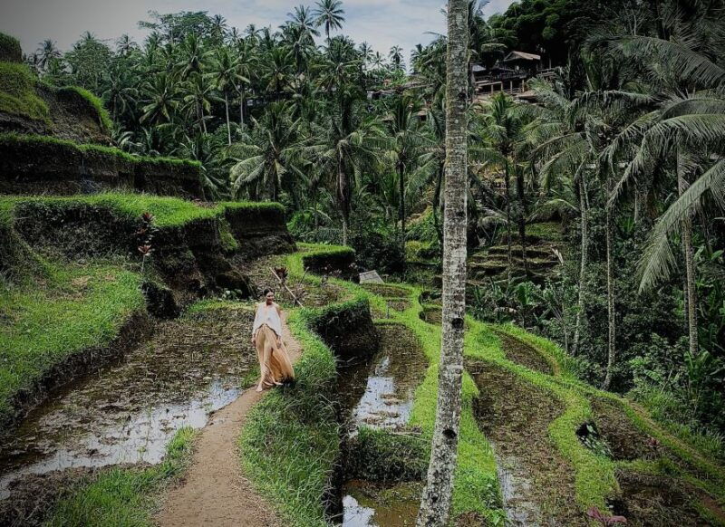 ubud-tegalalang-rice-terrace-photos-tour-with-swing-ticket