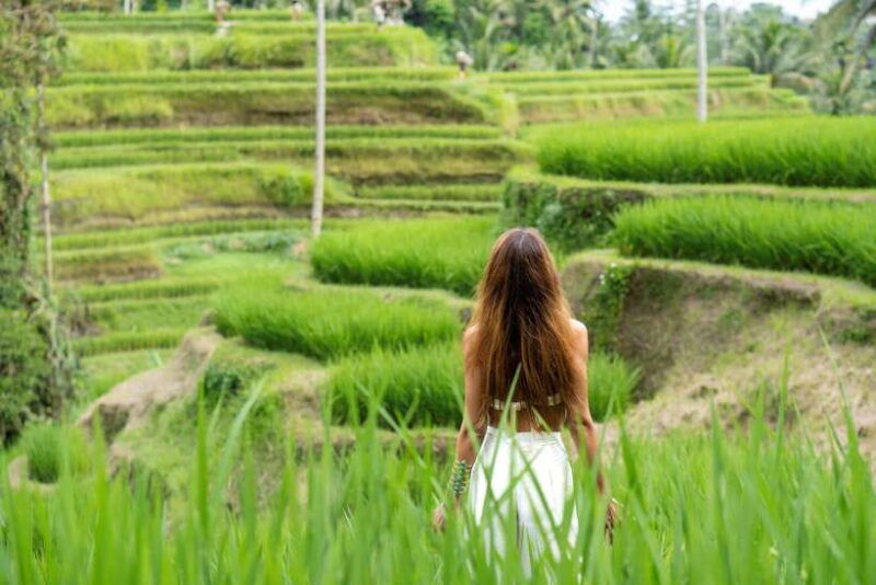 ubud-tegalalang-rice-terrace-waterfall-swing-photo-tour