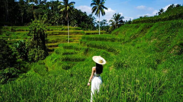 ubud-tegalalang-rice-terrace-waterfall-swing-photo-tour