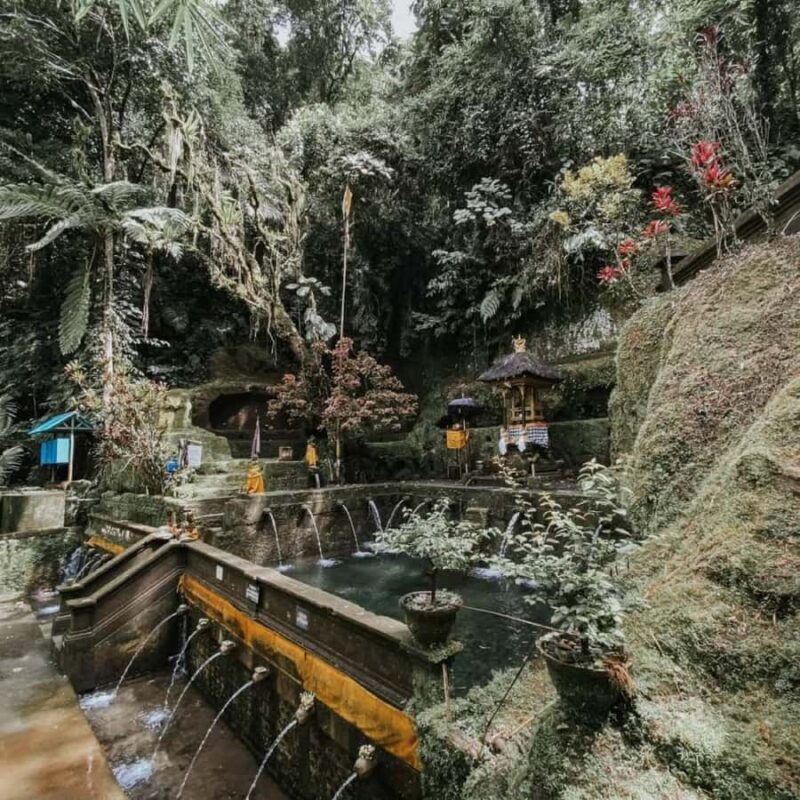 Ubud: Telaga Waja Temple, Waterfalls- Mancingan Rice Terrace - Key Points