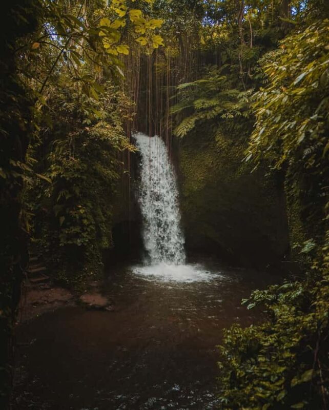 Ubud: Telaga Waja Temple, Waterfalls- Mancingan Rice Terrace - What Makes This Tour Stand Out?