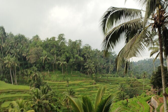 UBUD : Temple and Waterfall All Inclusive Day Tour - The Convenience of a Private, All-Inclusive Experience